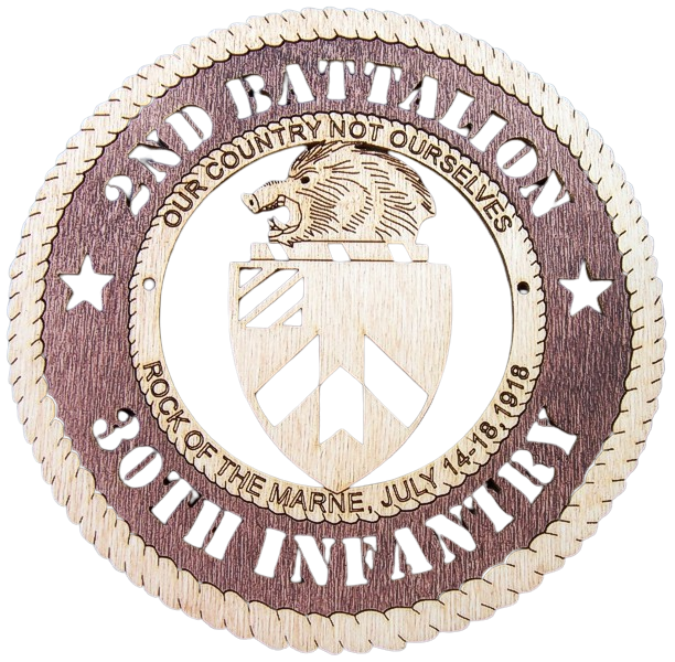 2nd Battalion 30th Infantry